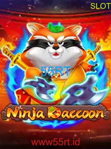 NinjaRaccoon
